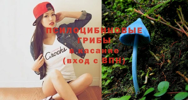 бошки Балахна