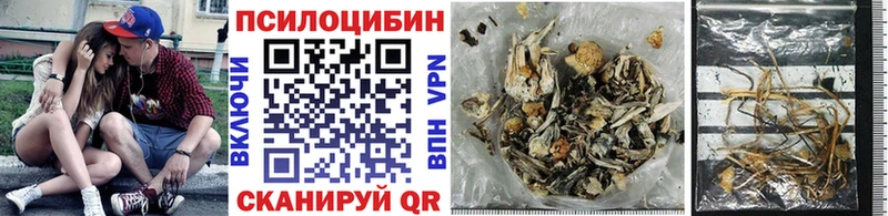 гидра сайт  Козельск  Псилоцибиновые грибы Psilocybe  дарнет шоп 
