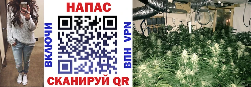 Каннабис AK-47  OMG tor  Козельск 